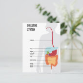 Verdauungssystem Postkarte (Stehend Vorderseite)