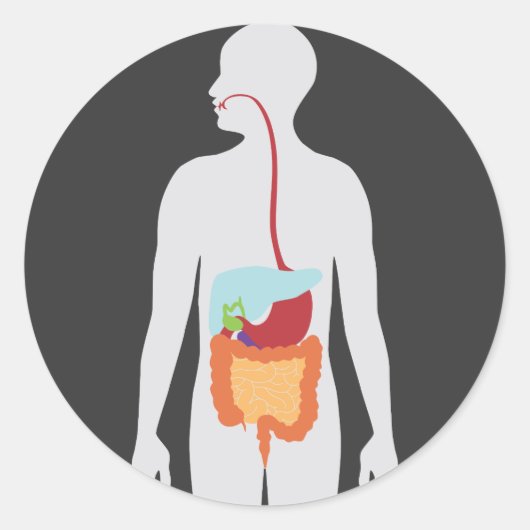Verdauungssystem Runder Aufkleber (Vorderseite)
