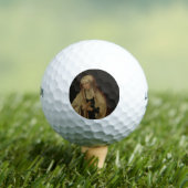 Verdeckte Jungfrau Mary (von Lucas van Leyden) Golfball (Insitu T-Shirt)