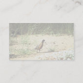 Verdeckte virginische Wachtel Visitenkarte (Rückseite)