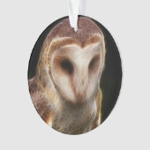 Verdecktes Eulen-Fraktal Ornament (Vorderseite)