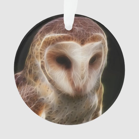 Verdecktes Eulen-Fraktal Ornament (Vorderseite)