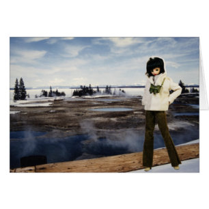 Verdi am Yellowstone Lake, Yellowstone National Pa