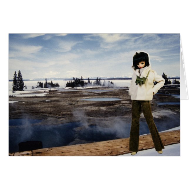 Verdi am Yellowstone Lake, Yellowstone National Pa (Vorderseite (Horizontal))