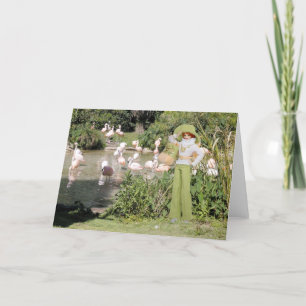 Verdi, Flamingos am Houston-Zoo Karte