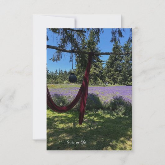 Verdichtungsstoff, Gartenlattern und Lavendelfeld Mitteilungskarte (Vorderseite)