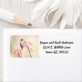 Verdin auf Penstemon (Insitu)