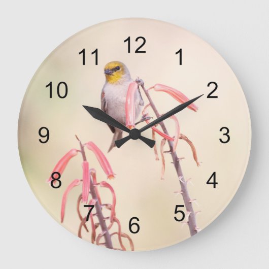 Verdin auf Penstemon Große Wanduhr (Vorderseite)