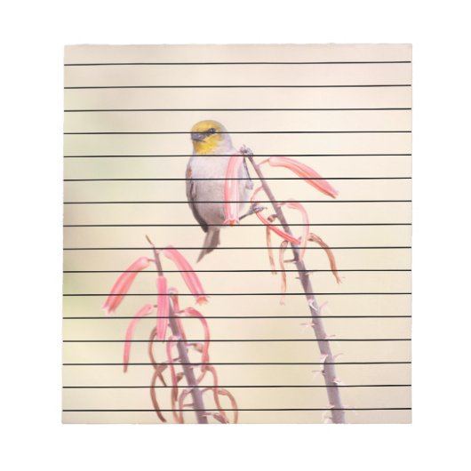 Verdin auf Penstemon Notizblock (Vorderseite)