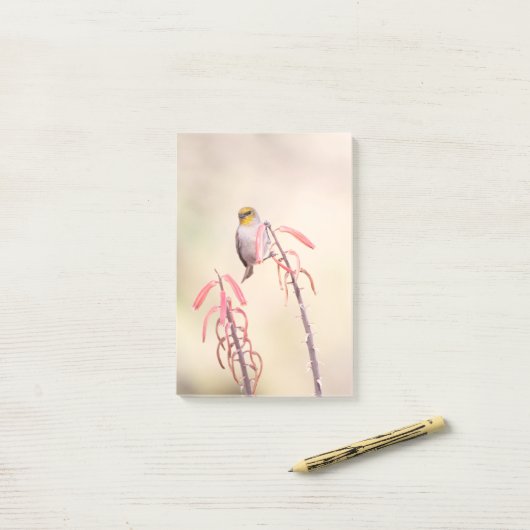 Verdin auf Penstemon Post-it Klebezettel (Auf Schreibtisch)