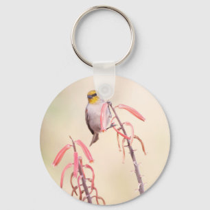 Verdin auf Penstemon Schlüsselanhänger