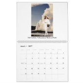 Verdis Kalender 2025: Eine Ball-Jointed Doll (Mär 2027)