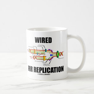 Verdrahtet für die Replikation (DNA-Replikation) Kaffeetasse
