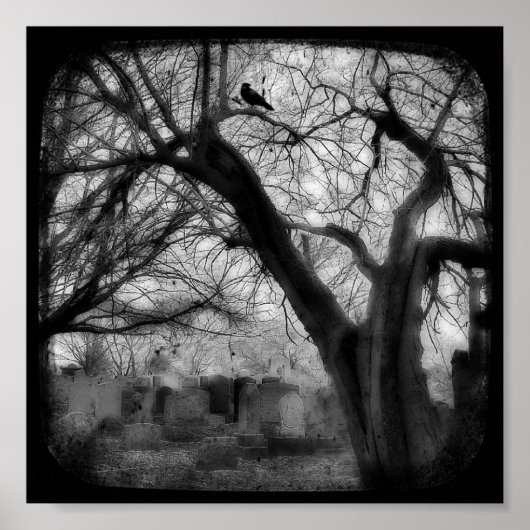 verdreht poster (Vorne)