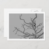 verdreht postkarte (Vorne/Hinten)