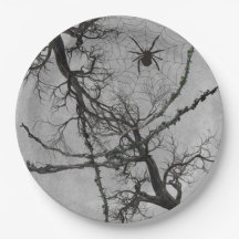 Verdrehte Reben und Halloween-Spinne
