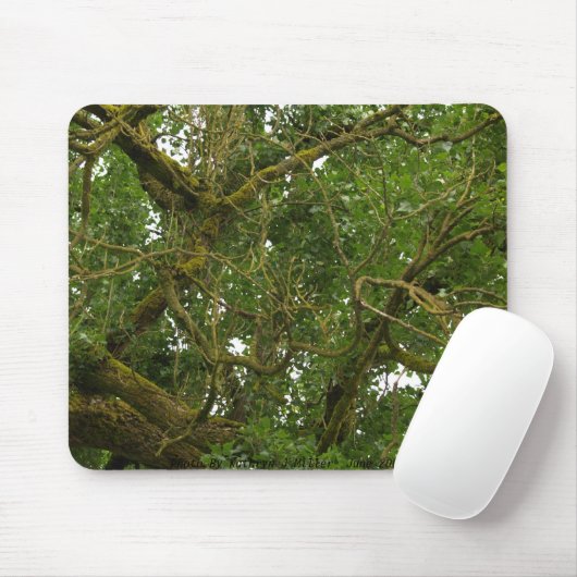 Verdrehter Baum Mousepad (Mit Mouse)