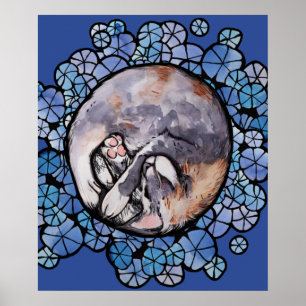 Verdünnte Calico Cat Cuddles Maine Coon Cats Poster