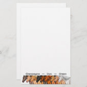 Verdünnungspferde Briefpapier (Vorne/Hinten)