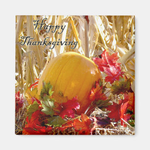 Vereinbart im Rot Magnet