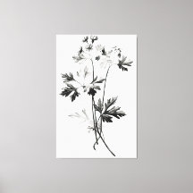 Vereinfachte Cilantro-Blätter Zeichnend