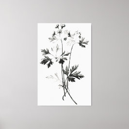 Vereinfachte Cilantro-Blätter Zeichnend Leinwanddruck