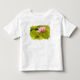 Vereinigte Staaten, DC, Washington, Kenilworth 2 Kleinkind T-shirt
