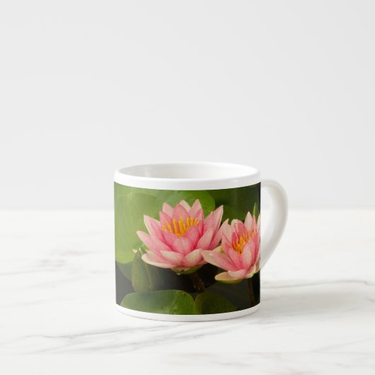 Vereinigte Staaten, DC, Washington, Kenilworth 4 Espressotasse (Vorderseite Rechts)