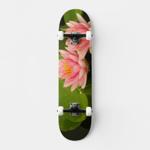 Vereinigte Staaten, DC, Washington, Kenilworth 4 Skateboard