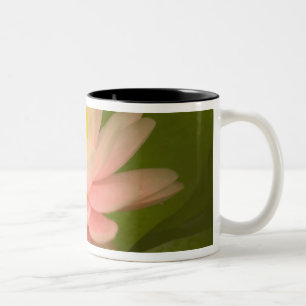 Vereinigte Staaten, Maryland, Westminster, Union Zweifarbige Tasse