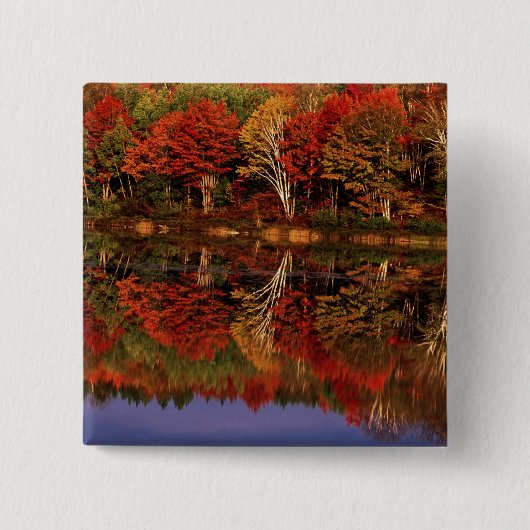 Vereinigte Staaten, Michigan, Obere Halbinsel.Nied Button (Vorderseite)