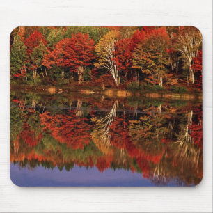 Vereinigte Staaten, Michigan, Oberhalb der Halbins Mousepad