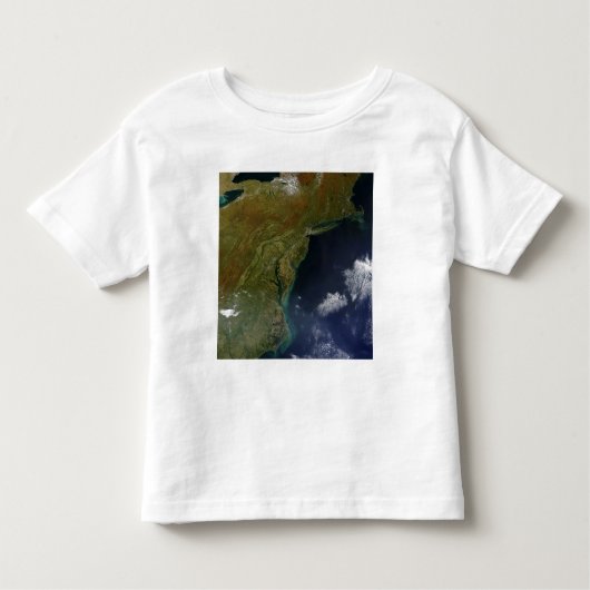 Vereinigte Staaten Ostküste Kleinkind T-shirt (Vorderseite)