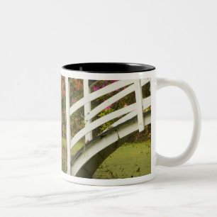 Vereinigte Staaten; South Carolina; Charleston; 2 Zweifarbige Tasse