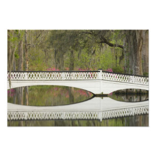 Vereinigte Staaten; South Carolina; Charleston; 3 Fotodruck