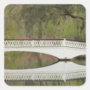 Vereinigte Staaten; South Carolina; Charleston; 3 Quadratischer Aufkleber