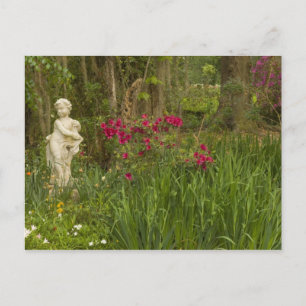 Vereinigte Staaten; South Carolina; Charleston; 4 Postkarte
