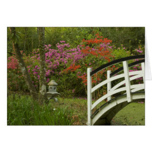 Vereinigte Staaten South Carolina Charleston;5