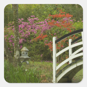 Vereinigte Staaten; South Carolina; Charleston; 5 Quadratischer Aufkleber