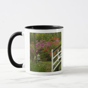 Vereinigte Staaten; South Carolina; Charleston; 5 Tasse