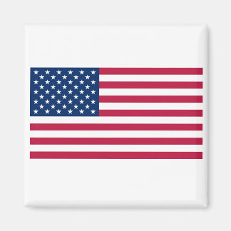 Vereinigte Staaten USA Magnet