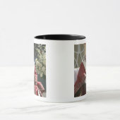 Vereinigte Staaten, Washington, D.C. Papst Benedik Tasse (Zentrum)