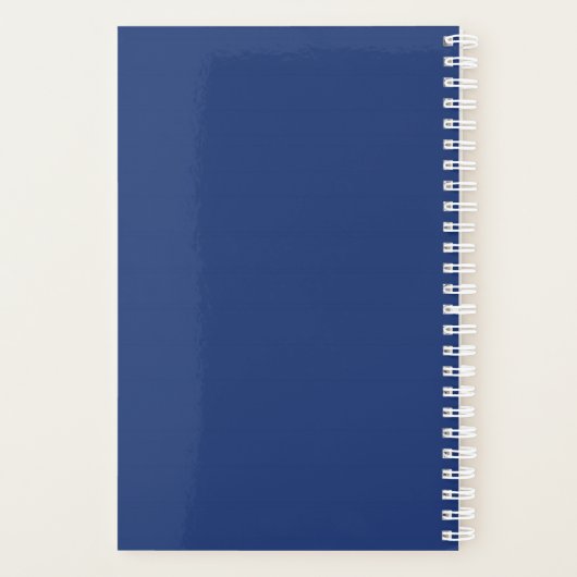 Vereinigtes Königreich - Blue Police Public Call B Planer (Rückseite)