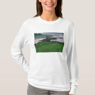 Vereinigtes Königreich, Schottland, Insel Skye, a T-Shirt