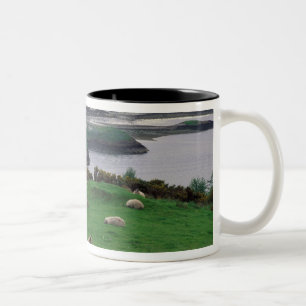 Vereinigtes Königreich, Schottland, Isle of Skye,  Zweifarbige Tasse