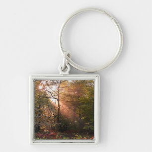 Vereinigtes Königreich Wald von Dean. Sonnenlicht  Schlüsselanhänger