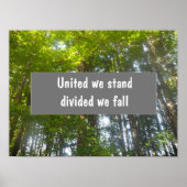 Vereint sind wir gespalten, wir fallen sprichwörtl poster (Vorne)