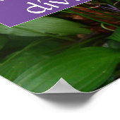 Vereint sind wir gespalten, wir fallen sprichwörtl poster (Ecke)