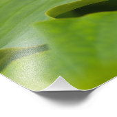 Vereinte Staaten, DC, Washington, Kenilworth Fotodruck (Ecke)