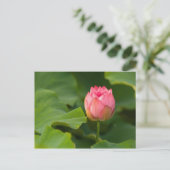 Vereinte Staaten, DC, Washington, Kenilworth Postkarte (Stehend Vorderseite)